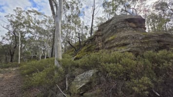 Dark Sky Hill - Turnkey Astro-Tourism Property with Geographical Monopoly