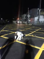 Railway Infrastructure Business for Sale with Strong Goodwill SR1569