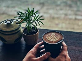 Gy3z3i8lvskyfdrx2gar