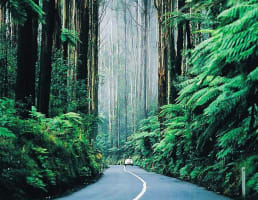 Boutique Accommodation Retreat + Freehold - Dandenong Ranges