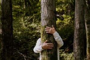 Leading B2B Tree Service Company