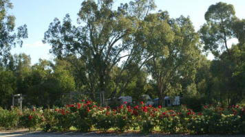 UNDER CONTRACT - Numurkah Caravan Park –Freehold residence plus leasehold business