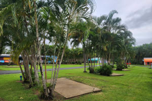 H42muetlvspdwp9xplbu
