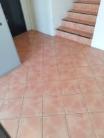 URGENT SALE- Profitable Owner-Operator Carpet Cleaning Business Growth Potential