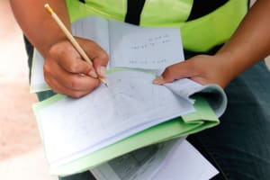 Leading B2B Tree Service Company