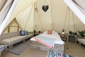 Large Scale Freehold Tourism Asset - Glamping - Large Land Holding
