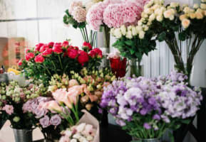 LOTTERYWEST / NEWS / FRESH FLOWERS