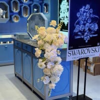 Established Florist with Loyal Customers in Busy Hobart CBD
