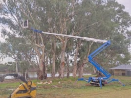 Hfibst5ptaqzoorirxhb