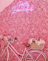 Hggcybikcgxsoumssx1m