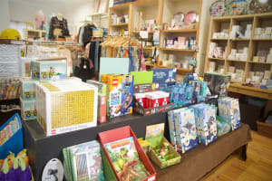 Established Retail Gift Shop and Women's Clothing Store