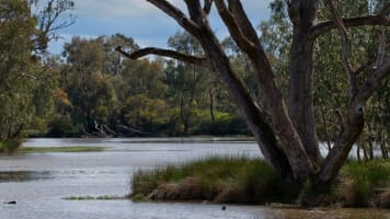 UNDER CONTRACT - Numurkah Caravan Park –Freehold residence plus leasehold business