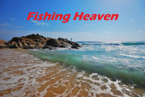 Prime Freehold acquisition in Marlo.  8592m2