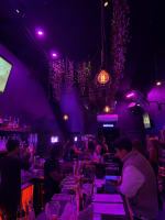 WIWO New Cocktail Bar situated on the iconic Chapel Street + Mobile Bars Busines