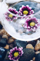 High quality retail organics supplies - busy location