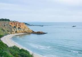 Lifestyle Cafe For Sale