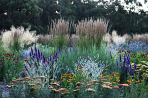 Wholesale & Retail Nursery | Established Perennials Nursery Opportunity | VIC