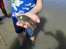 Ht5pl5marfk6jfcbqm6x