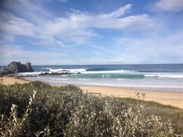 Great Business/Enviable Lifestyle - Established 11 years