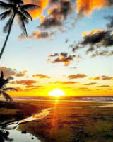Iconic, Seaside Cafe in Paradise