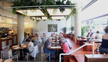 Licensed Day Trade Café with Lifestyle Appeal & Major Growth Potential
