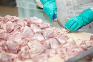 Fresh Meat Processing & Distribution Business
