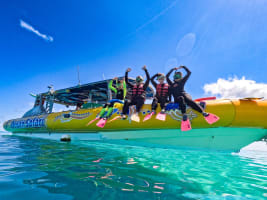 ACCOMMODATION & TOURISM BUSINESS FOR SALE IN CAPE TRIBULATION - 2820MF