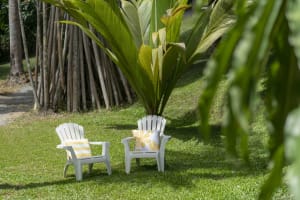 Daintree Rainforest Luxe Eco Lodge For Sale