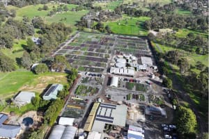 Established Wholesale Production Nursery | Under Management | $1.9m Profit