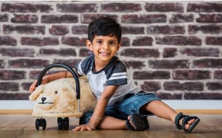 Wheely Bug Toys - Iconic Australian Toys - Online Business!