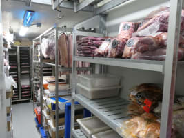Bos Taurus Butchery
