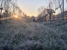 Huge Upside Well Established Business and Property - 2890CF