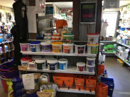 Thriving Business in the Golden Triangle