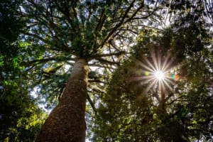 UNDER OFFER - Large Leasehold Motel in the Heart of a Busy Town