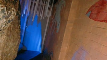 Popular Amusement Business in Sydney CBD - Fantastic Growth Opportunities.