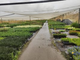 Leased  Nursery and spa supplies. Wholesale and Retail with 18.5 Acres and 3 bedroom home and pool