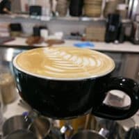 Icy5anm7jt6gsst2um1o