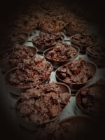 Luxury Chocolate Brand for Sale – Profitable, Staff-Run & Fully Equipped