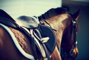 Idy7lucey1u7rsyvfyex