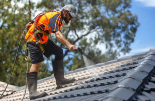 Ie46mpm59uqoljcr5h2u