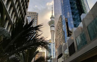 Commercial Property & Entertainment Hub - NZ