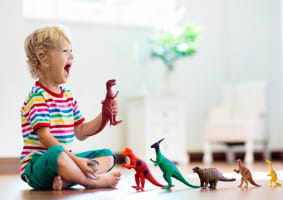 Large National Toy Product Importer, Wholesaler/Distributor #381