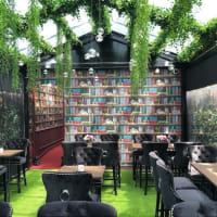 Igzdfvn5i9oq4bt2ifmn