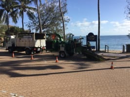 Long-Established Tree Services Business - Coastal Lifestyle!