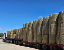 Business for Sale: Thriving Rural Retail Store.