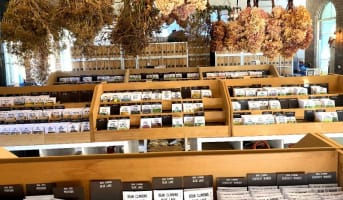 HERITAGE SEED BANK and OPEN GARDEN