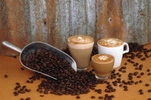 Coffee Works - Mareeba, Far North Queensland
