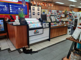 SUNSHINE COAST NEWSAGENCY/GIFT/TATTS BUSINESS FOR  SALE - PRICE REDUCTION $150,000 PLUS SAV