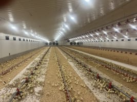 Thriving Agritech Business with Global Reach and Proven Success