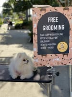 Is3ade8nwrohcaf6ydkp